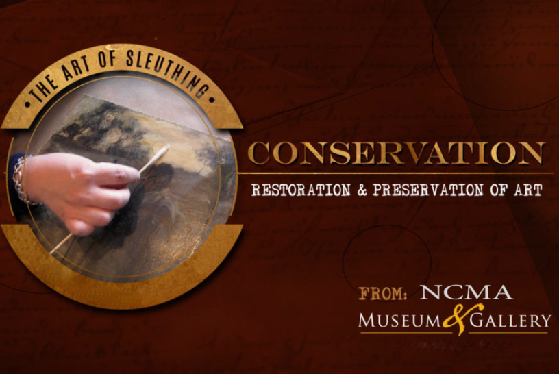 The Art of Sleuthing: Conservation